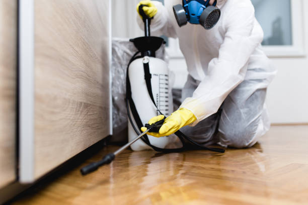 Best Pest Prevention Services  in Elm Creek, TX