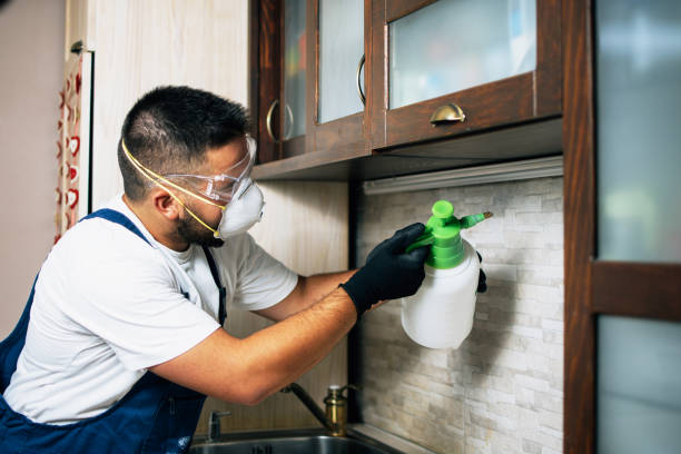 Best Flea Control Services  in Elm Creek, TX