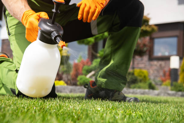 Best Insect Control  in Elm Creek, TX