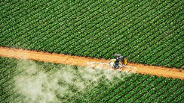 Insect Control in Elm Creek, TX