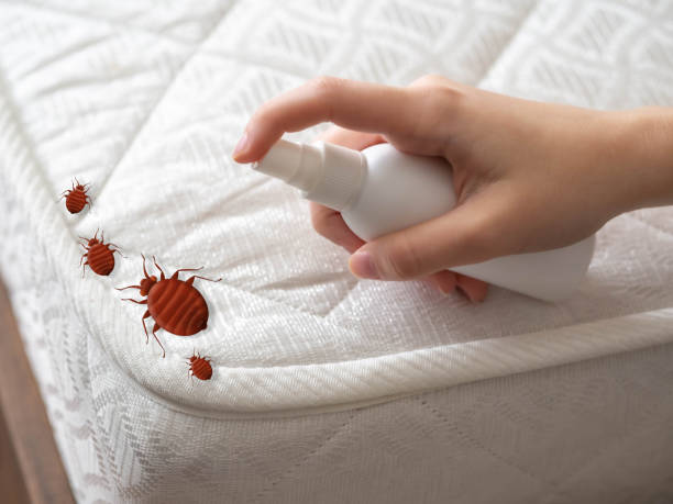 Pest Control for Restaurants in Elm Creek, TX