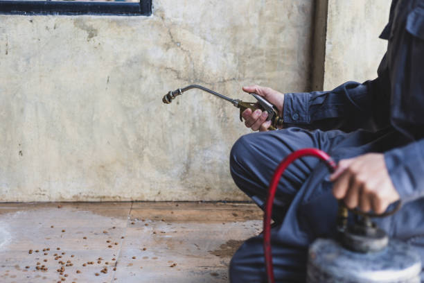 Best Pest Removal Services  in Elm Creek, TX